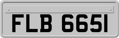 FLB6651