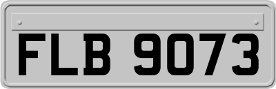 FLB9073