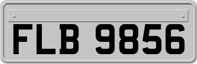 FLB9856