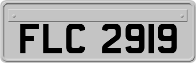 FLC2919