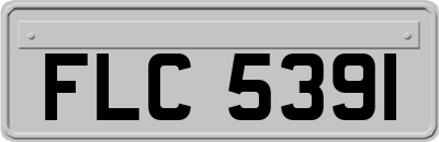FLC5391