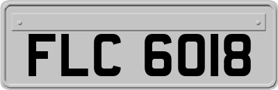 FLC6018