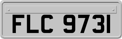 FLC9731