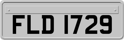 FLD1729