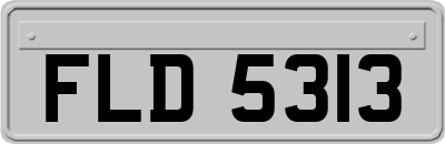 FLD5313