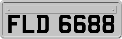 FLD6688