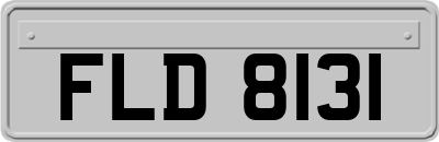 FLD8131