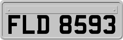 FLD8593