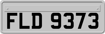 FLD9373