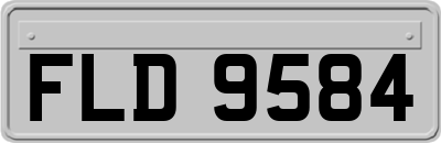 FLD9584