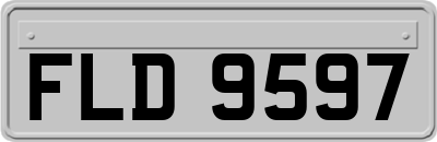 FLD9597