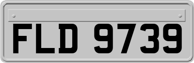 FLD9739