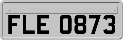FLE0873