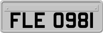 FLE0981