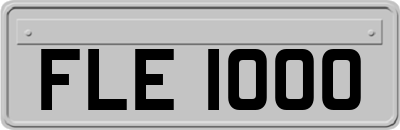 FLE1000