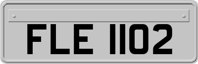 FLE1102