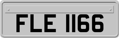 FLE1166