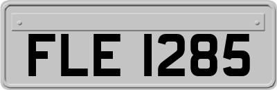 FLE1285