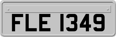 FLE1349