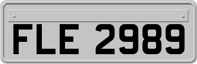 FLE2989