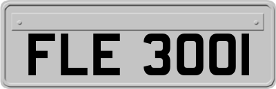 FLE3001