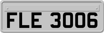 FLE3006