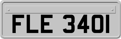 FLE3401