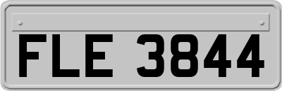 FLE3844