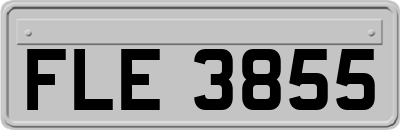 FLE3855