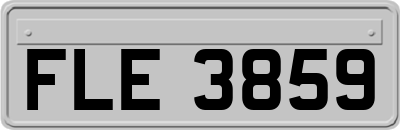 FLE3859