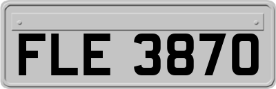 FLE3870