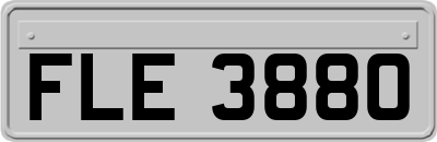 FLE3880