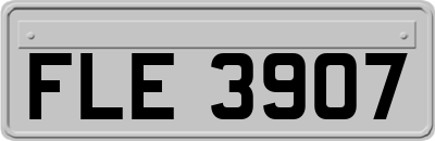 FLE3907