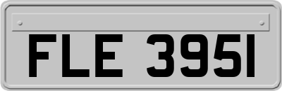 FLE3951