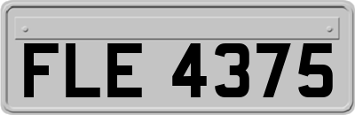 FLE4375