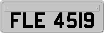 FLE4519