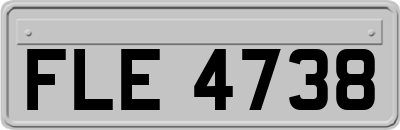 FLE4738