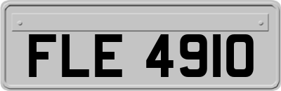 FLE4910