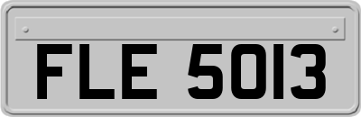 FLE5013
