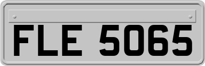FLE5065