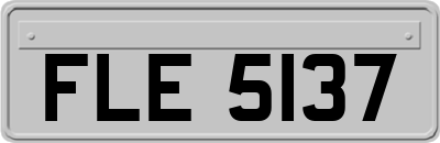 FLE5137