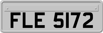 FLE5172