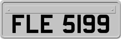 FLE5199