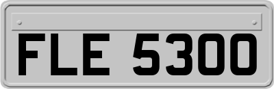 FLE5300