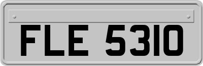 FLE5310