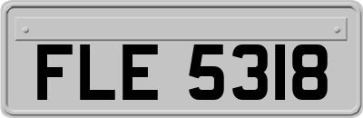 FLE5318