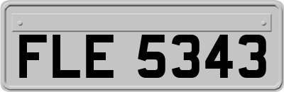 FLE5343