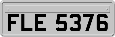 FLE5376