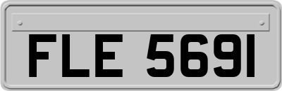 FLE5691