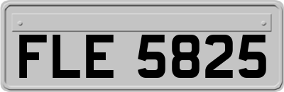 FLE5825